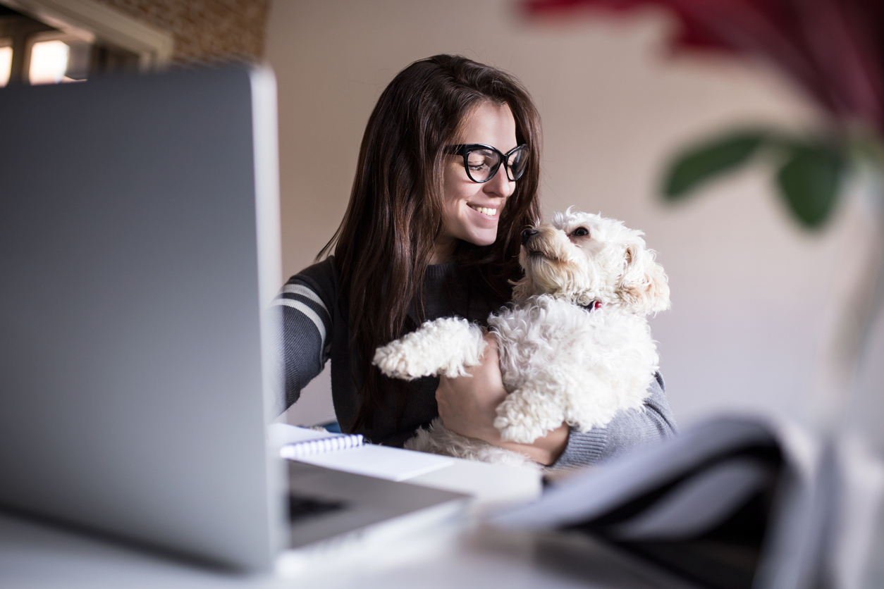 Dog Friendly Office Accommodation in Petersfield
